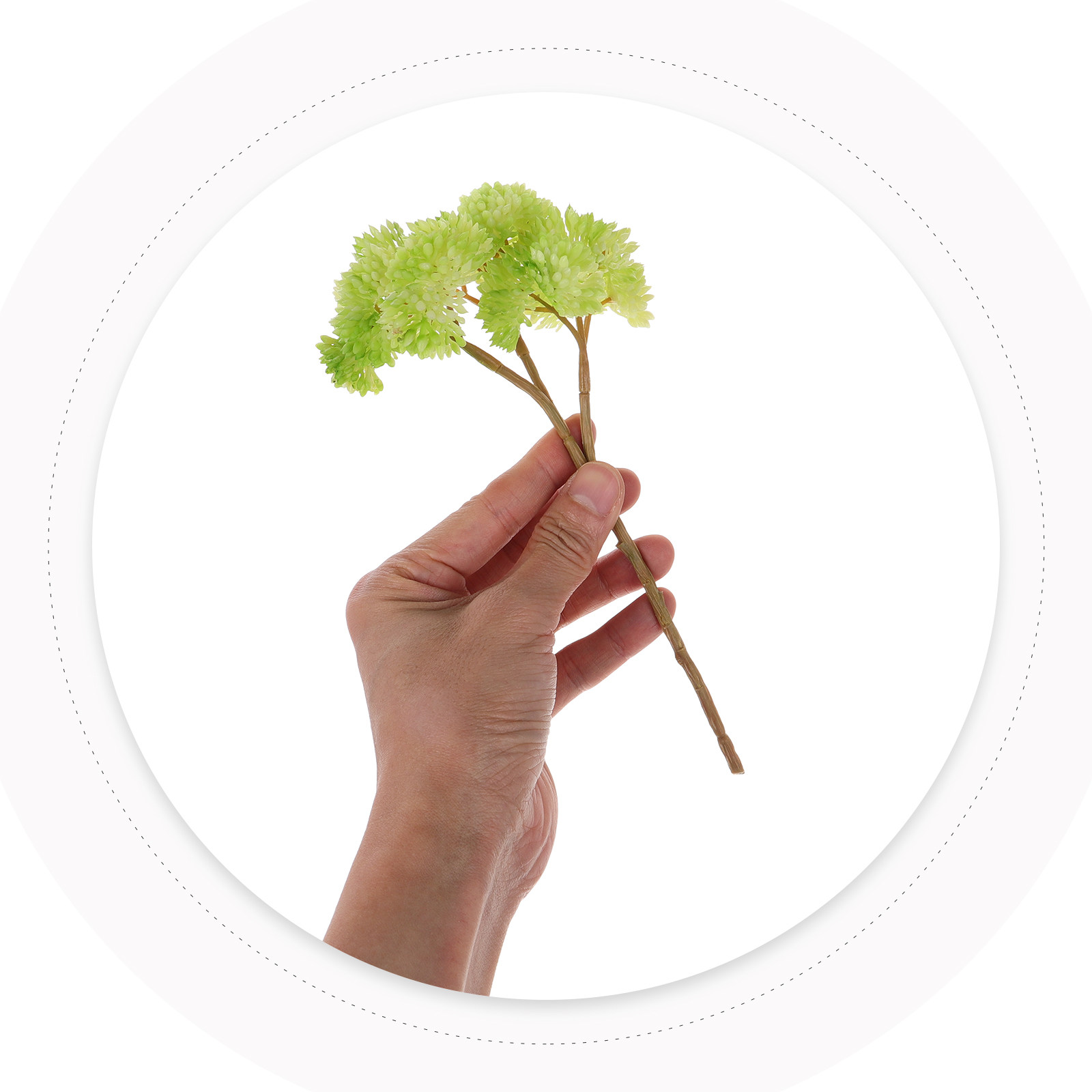 Realistic Faux Succulent Plant - Photography Lighting Home ulasan dan harga